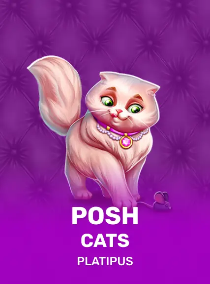 Posh Cats