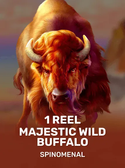 1 Reel - Majestic Wild Buffalo